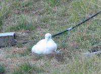 Albums/20060200-New Zealand 2006/20060314-Dunedin/43